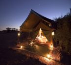 Desert Rhino Camp